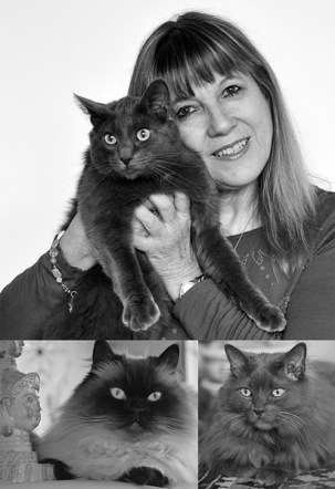 Debra Denker, Cli-Fi Author