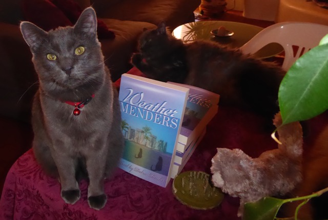 WM Sam serious cropped